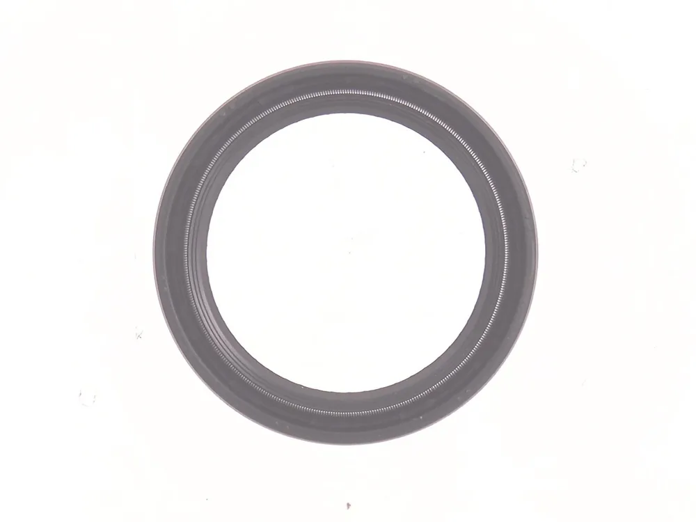 6680616 — Seal, Front Pulley