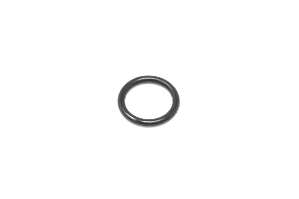 6685466 — O-Ring