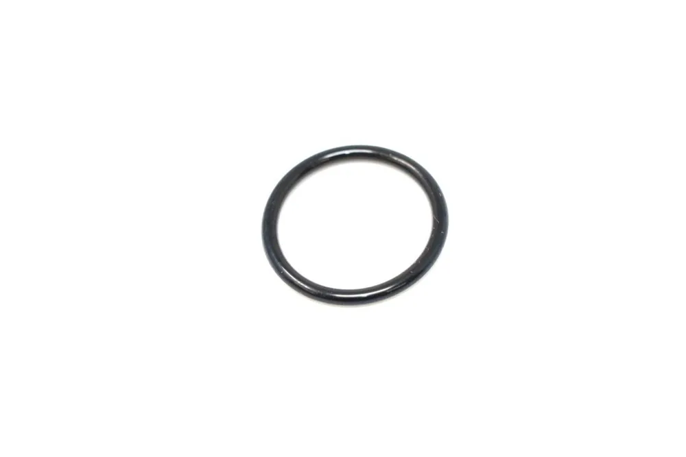 6685467 — O-Ring