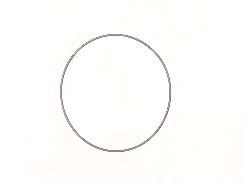 6685632 — O-Ring