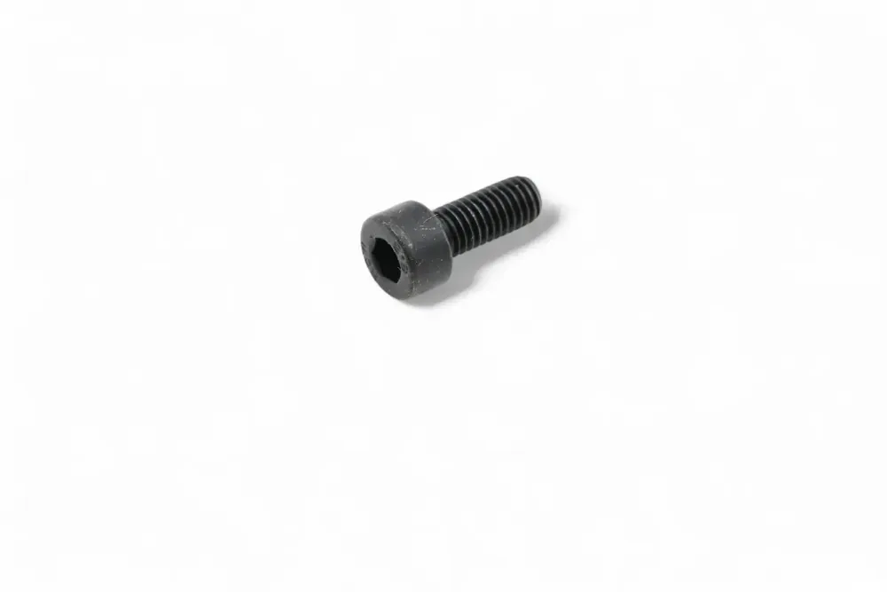 6685787 — SCREW