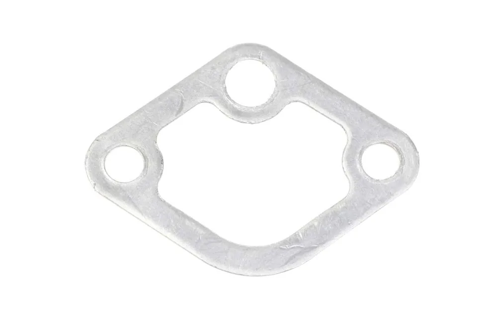 6685923 — Gasket