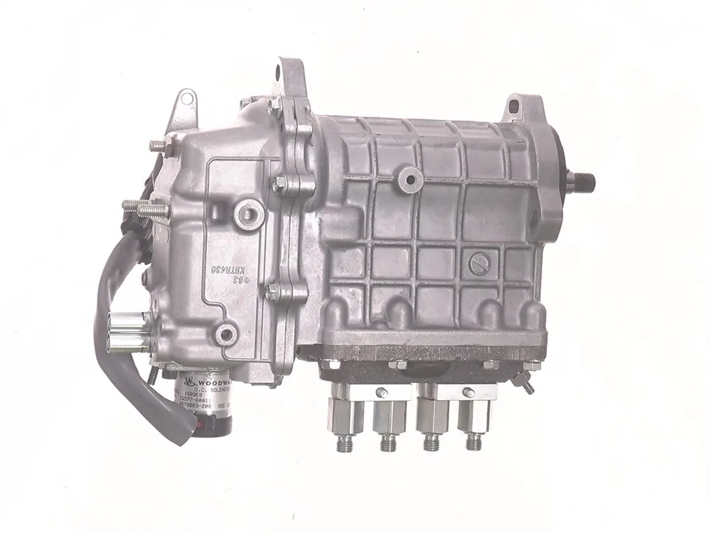 6685935 — Pump Fuel Injection Assembly