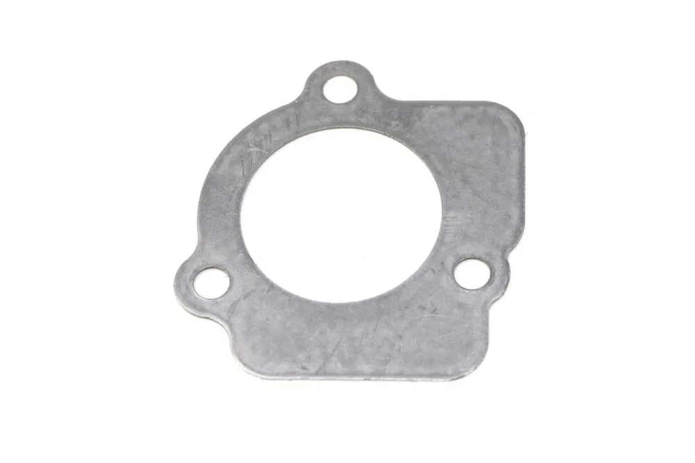6685955 — Gasket