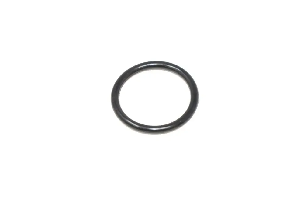 6686981 — O-RING