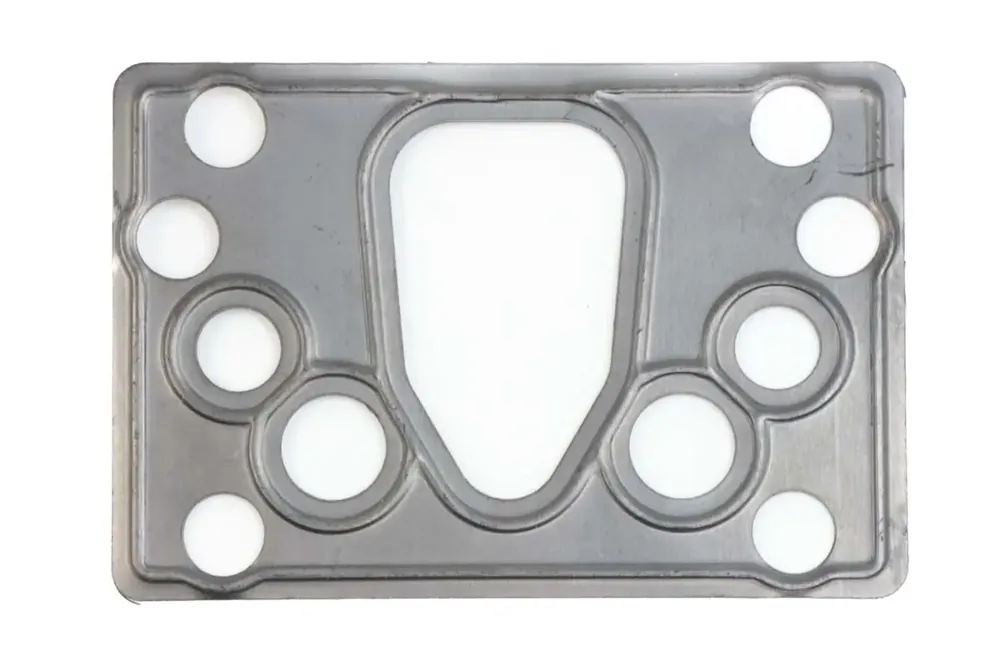 6687954 — GASKET