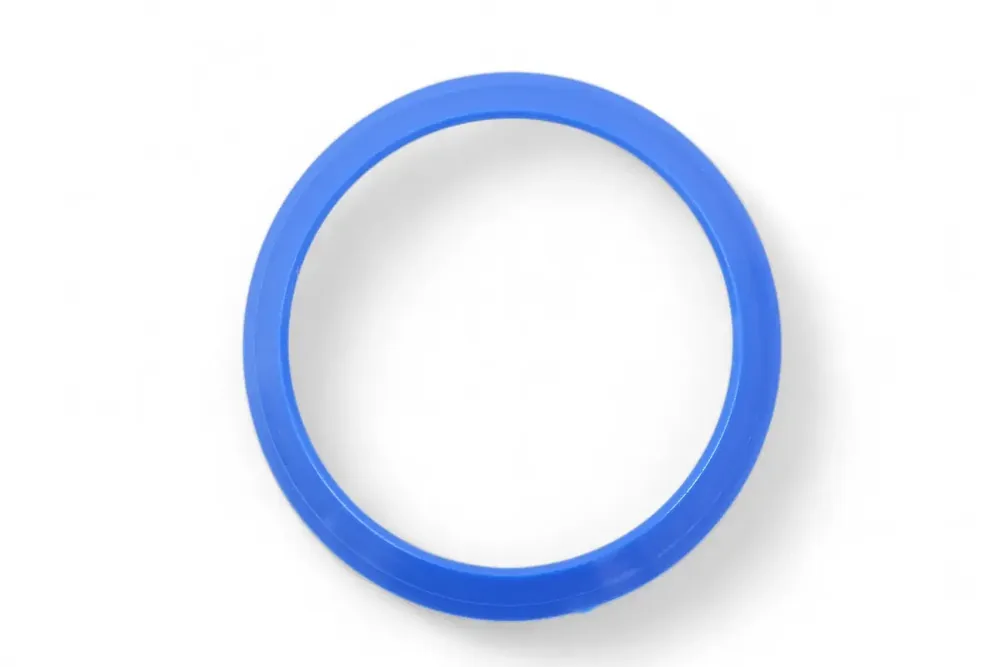 6688688 — SEAL RING