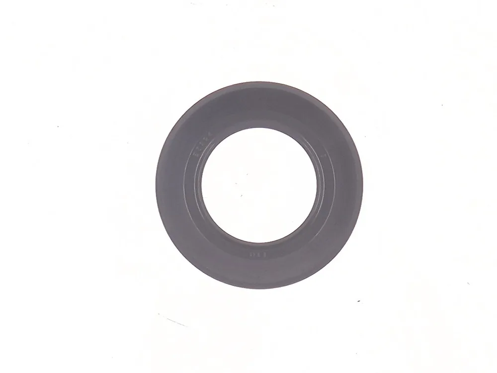 6689112 — SEAL DUST