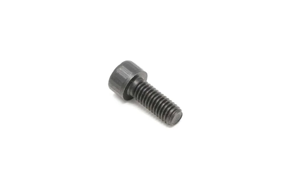 6690095 — Screw