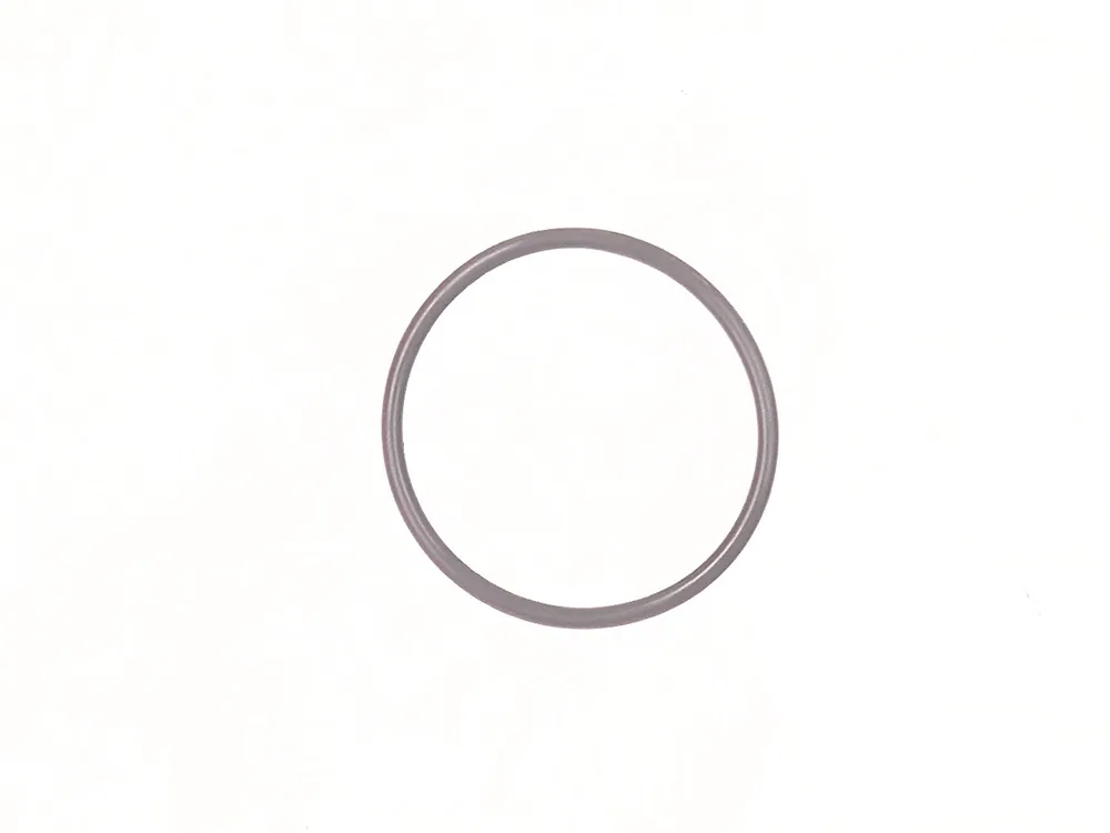 6690209 — Gasket