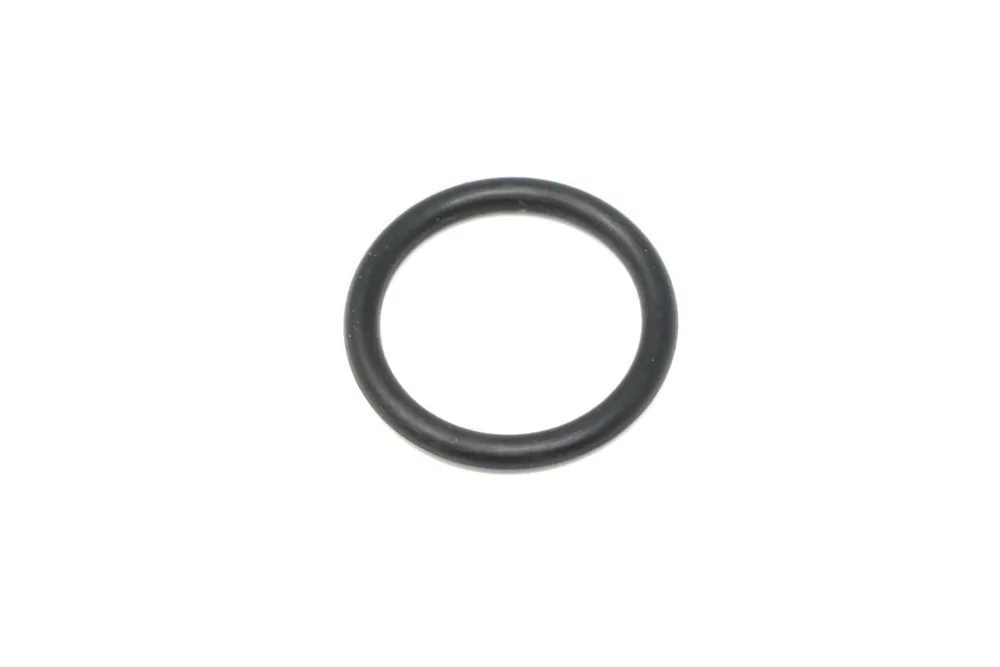 6690299 — O Ring