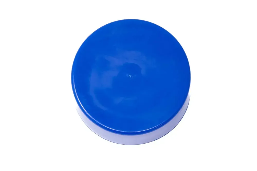 6690305 — CAP