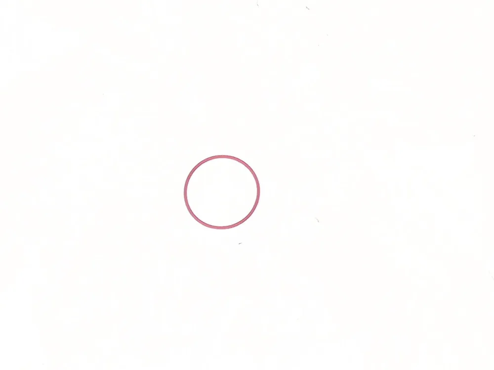 6690949 — O-Ring