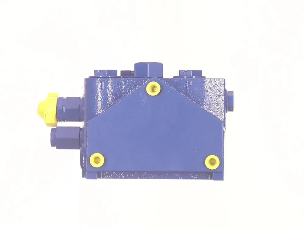 6691119 — Valve, Section