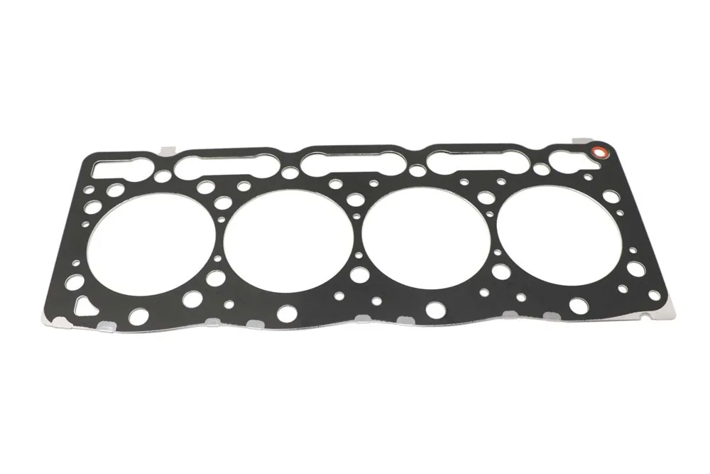6691297 — Gasket