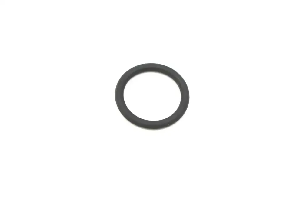 6691481 — O-RING