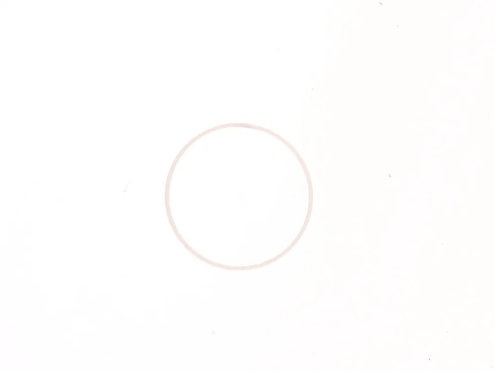 6691544 — Ring