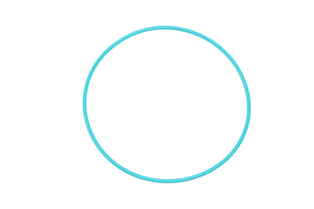 6691546 — O-Ring