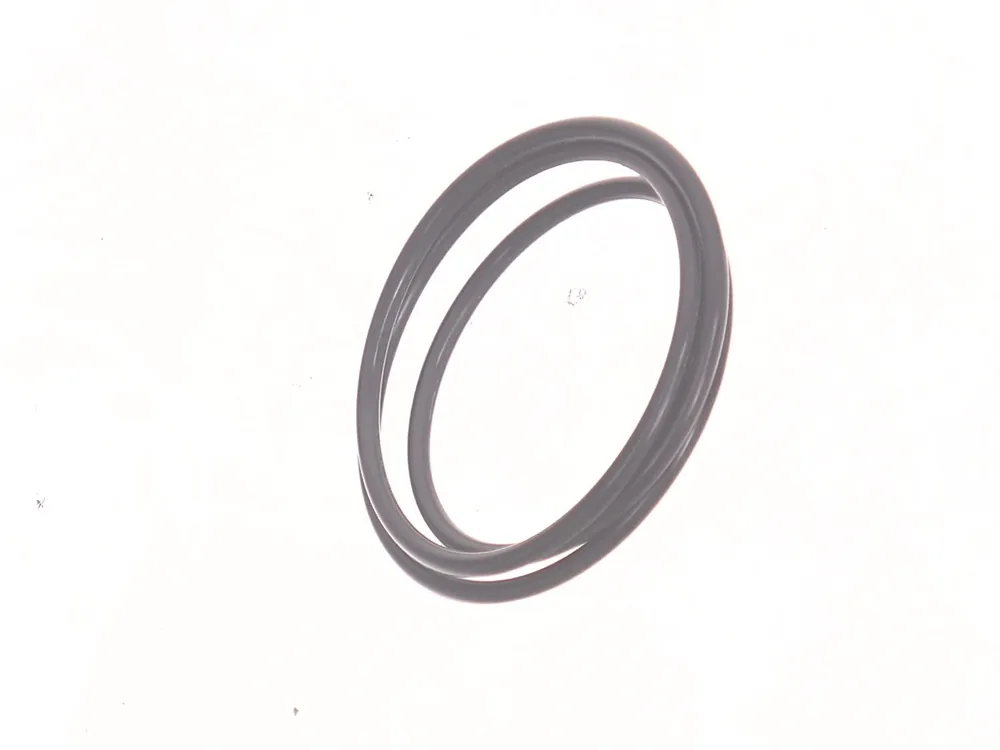 6691552 — O-Ring