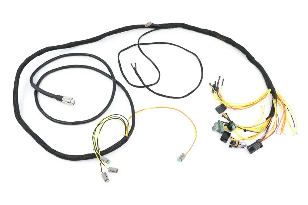 6691655 — HARNESS