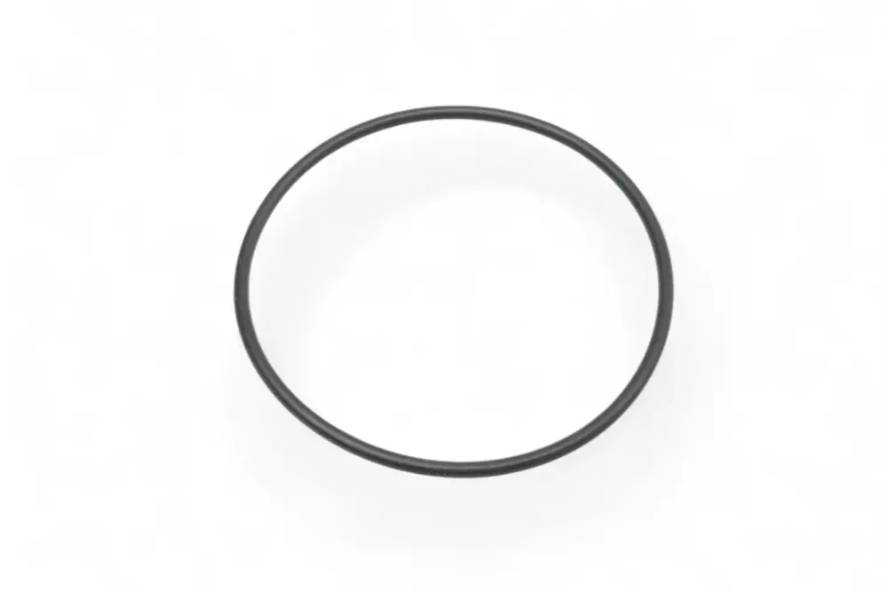 6692704 — O-RING