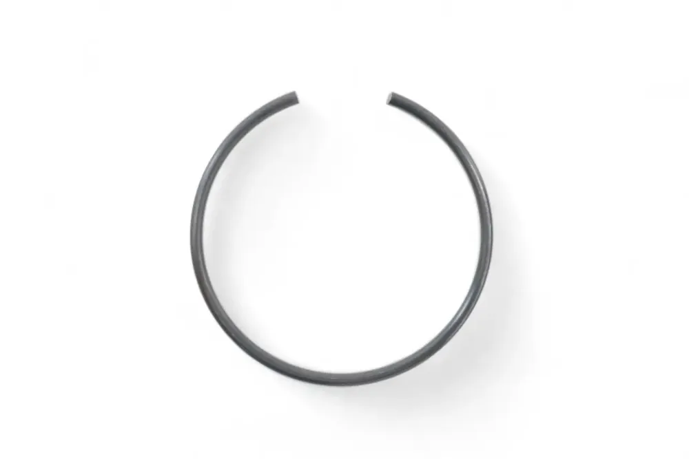 6693156 — RING