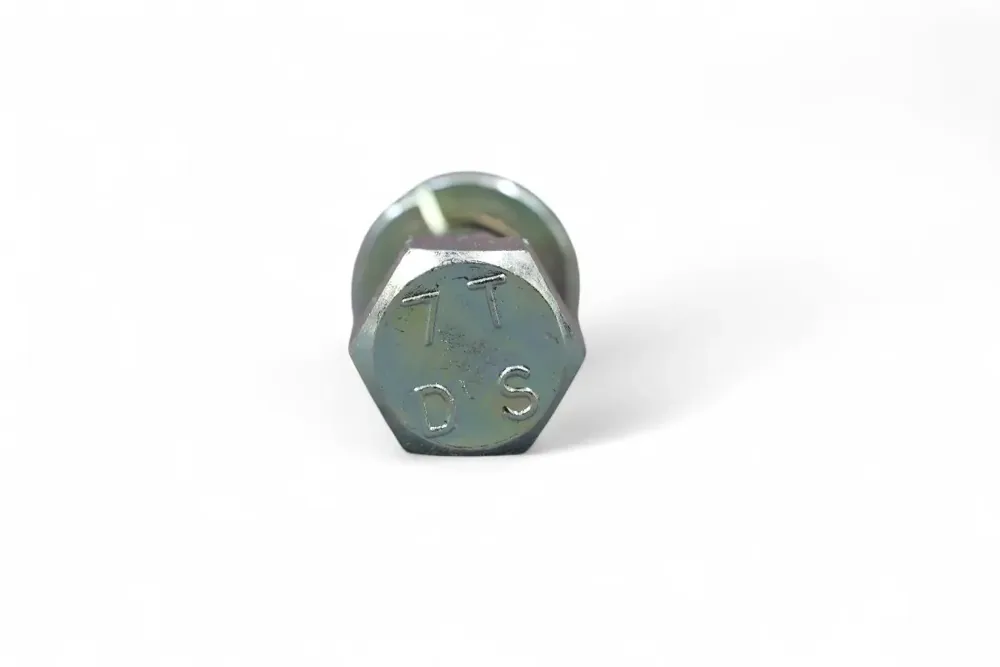 6695519 — BOLT CARRIAGE