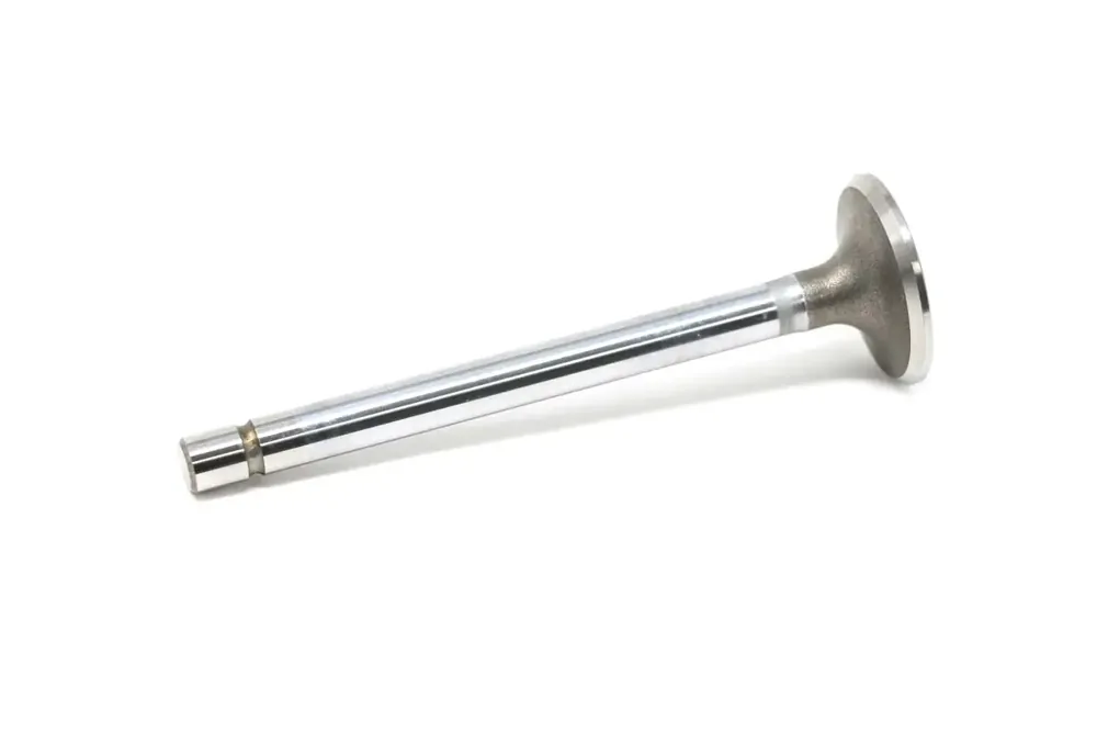 6695896 — VALVE EXHAUST