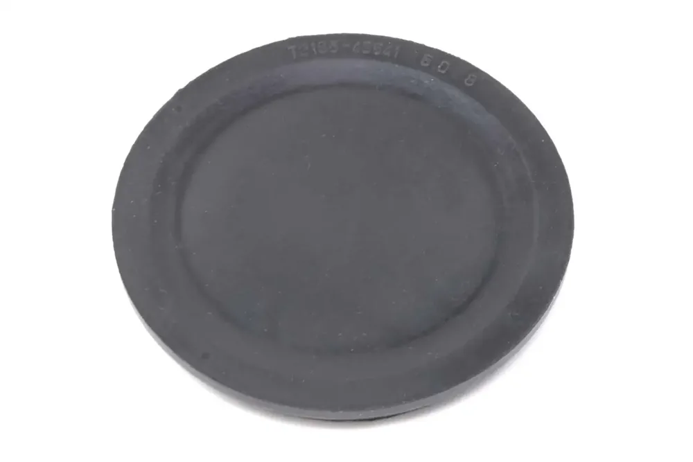 6696452 — PLUG HOLE