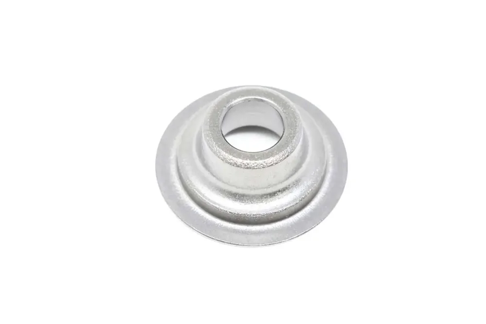 6696478 — RETAINER VALVE SPRING