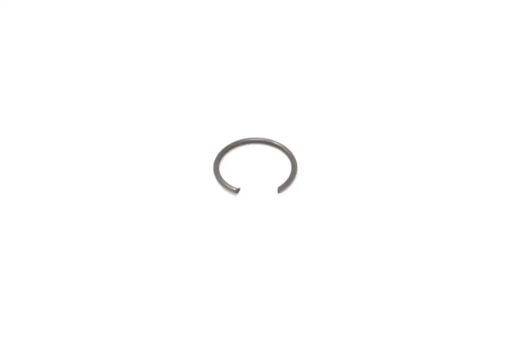 6696690 — RING SNAP
