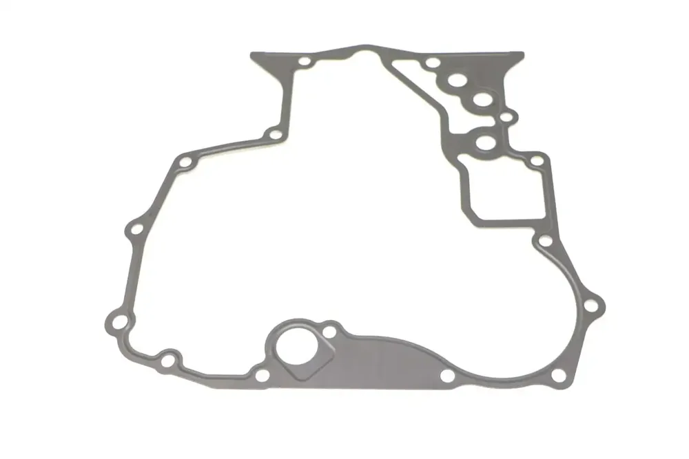 6698146 — GASKET