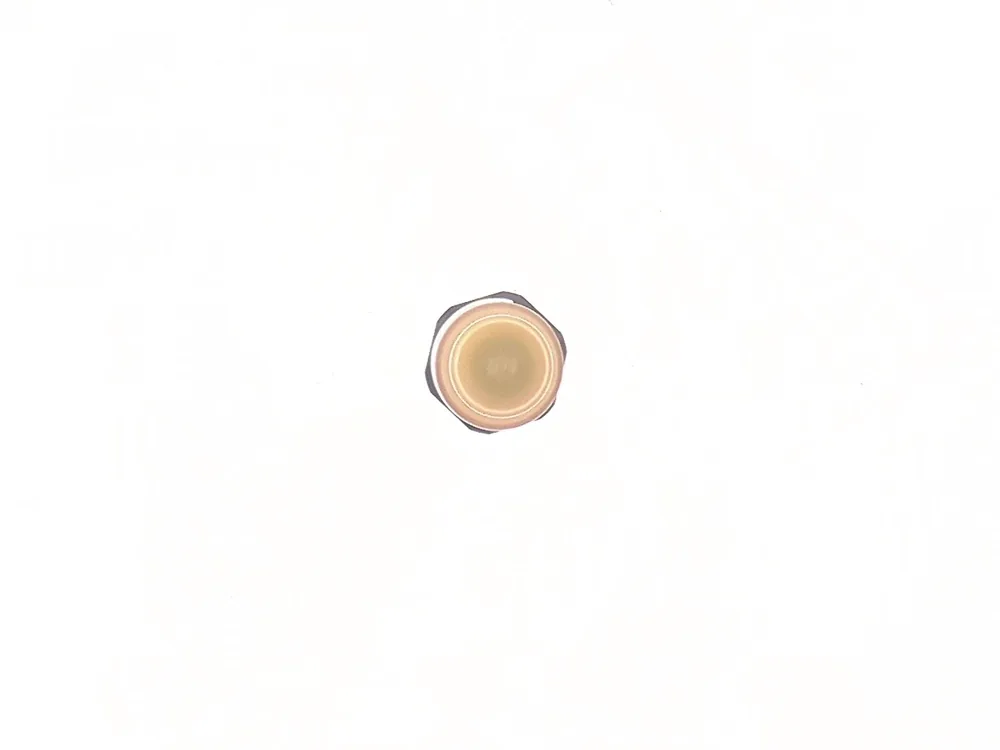 6698623 — Fuel Injector Assembly