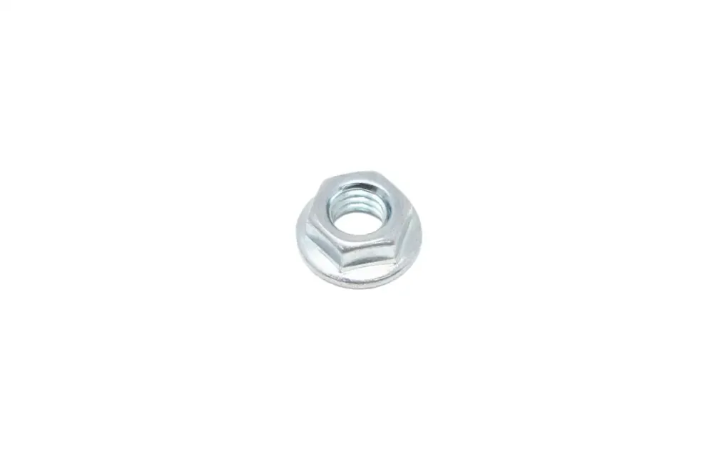 6698673 — NUT