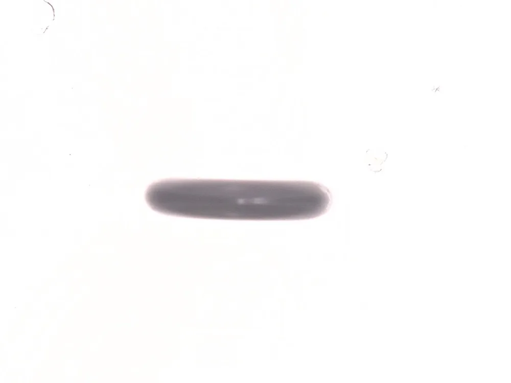 6719065 — Cover, Tab, Plastic