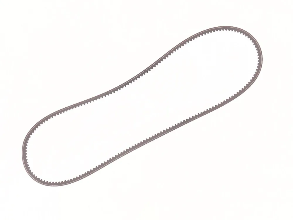 6808809 — Belt