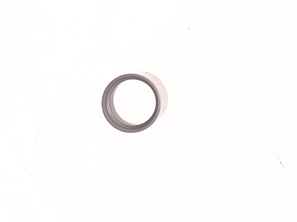 6813095 — Sleeve, Detent