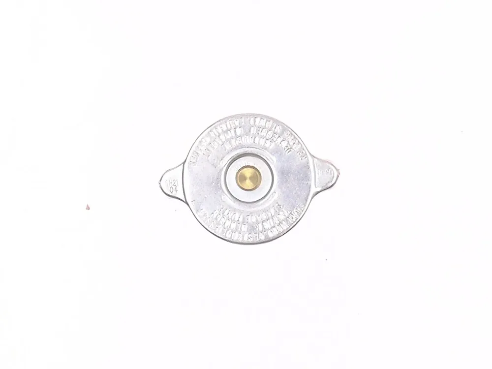 6909875 — Plug , Radiator