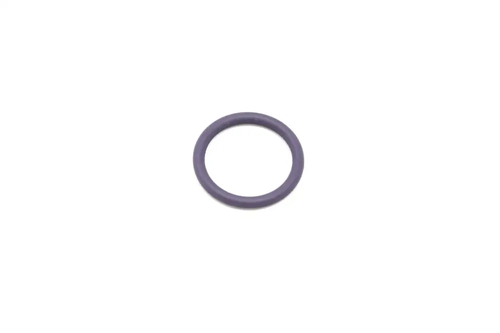 6911881 — O-RING