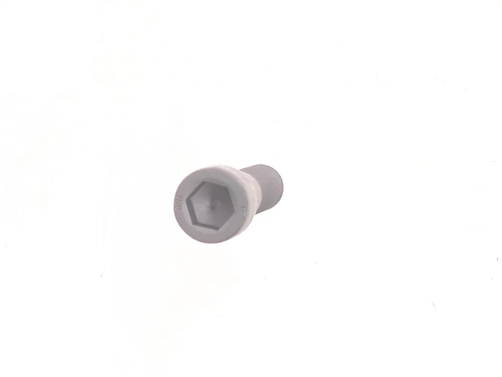 6GM20100 — Screw, Socket Head Cap, Grade 10.9