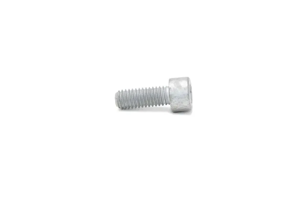 6GM616 — SCREW HEX SOCKT 8.8