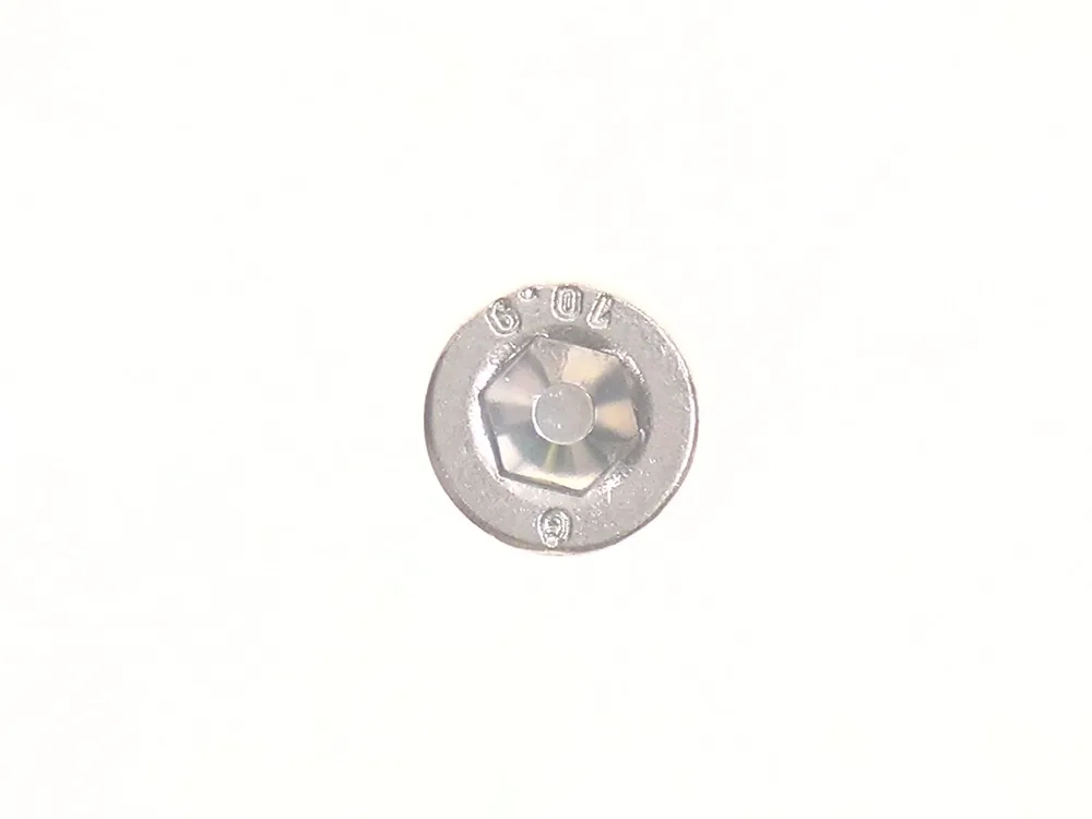 6GM625 — Screw, Socket Head Cap, 10.9