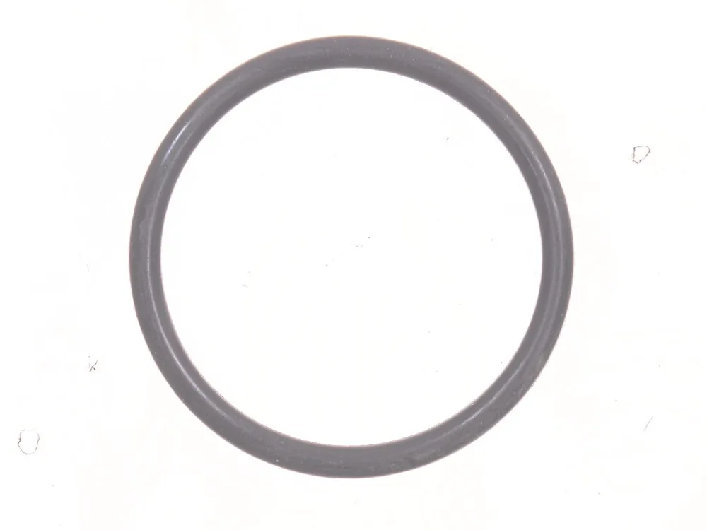 7000598 — O-Ring