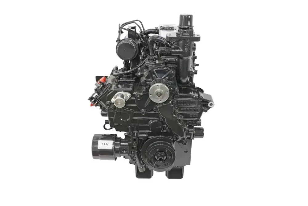 7001128 — ENGINE DAEDONG 3A165LWH