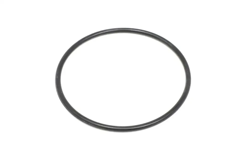 7002595 — O-RING
