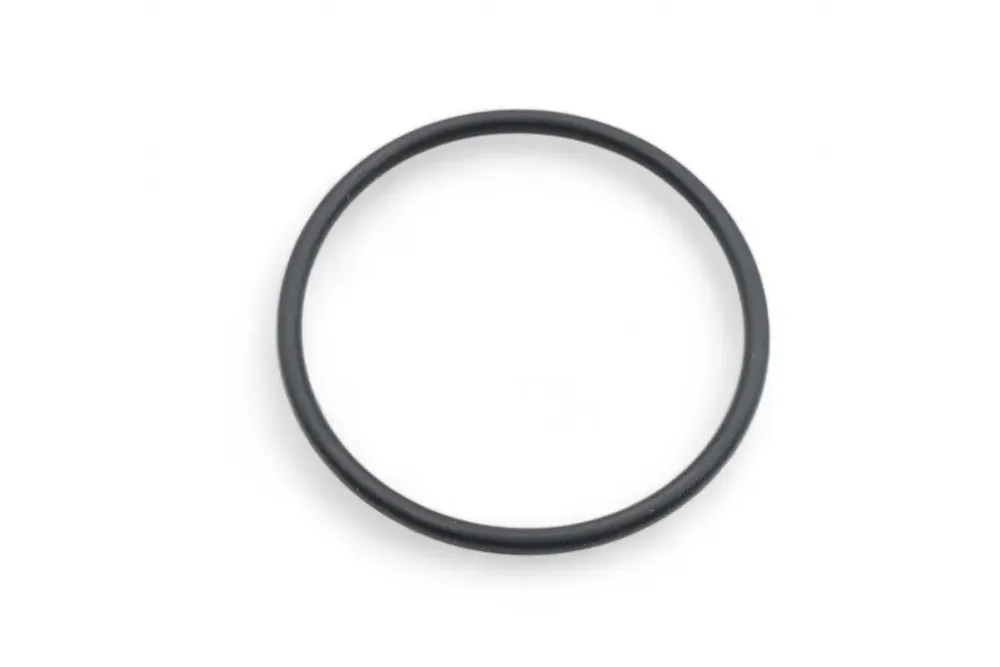 7003754 — O-RING