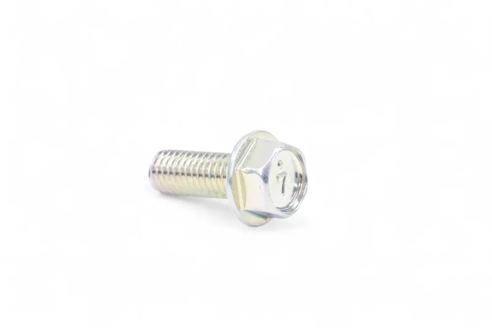 7004087 — BOLT