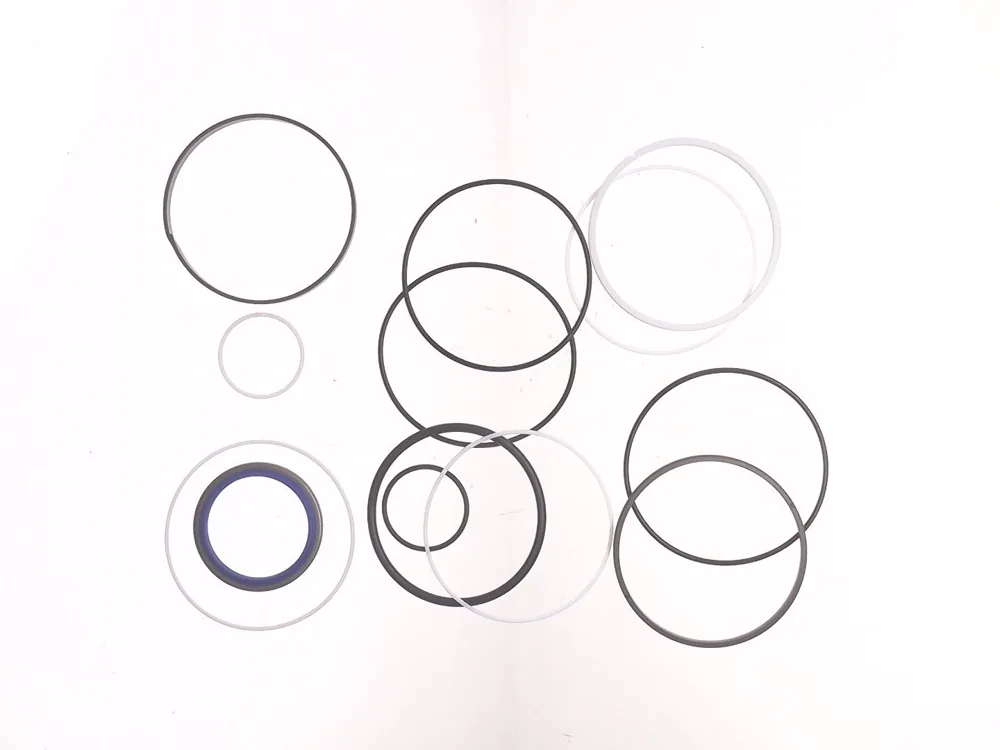 7007287 — Seal Kit