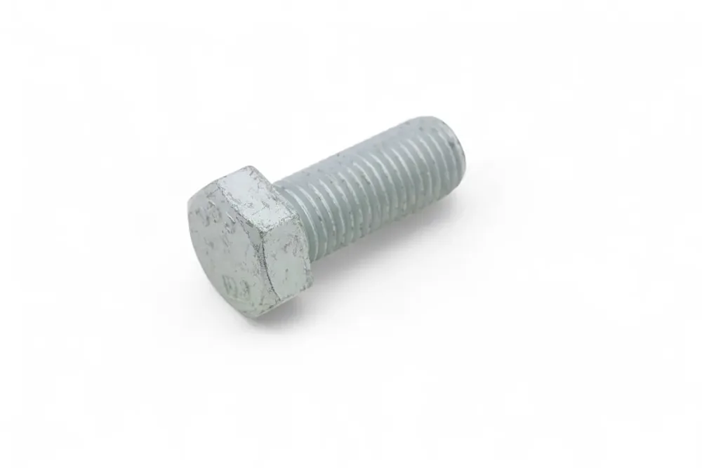 7007648 — BOLT