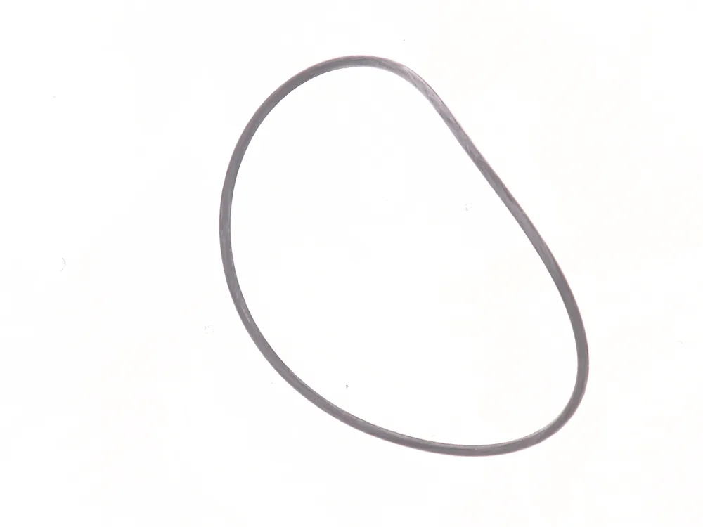 7007946 — O-Ring